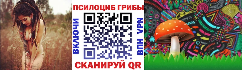 Псилоцибиновые грибы мухоморы  купить  сайты  Королёв 